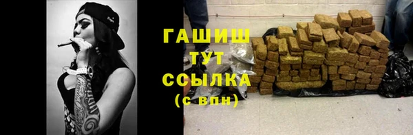 сатива Балахна