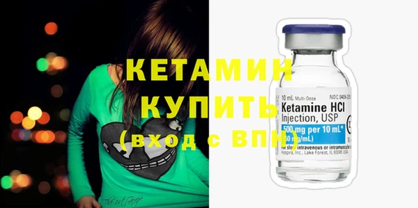 сатива Балахна