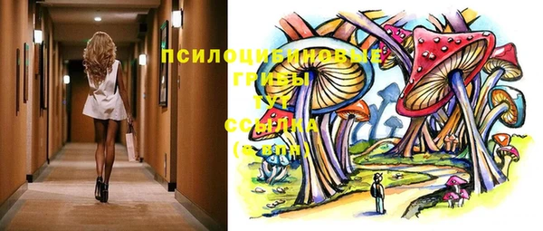 сатива Балахна