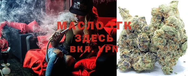 сатива Балахна