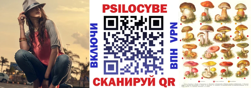 Купить закладки  Бодайбо  Псилоцибиновые грибы мицелий 